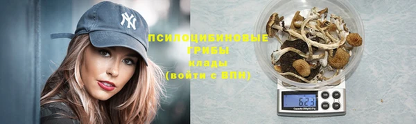 спиды Абаза