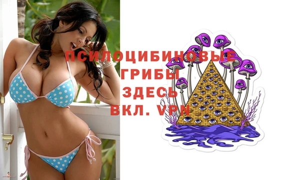 спиды Абаза